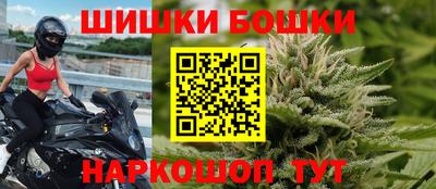 МДПВ Обь