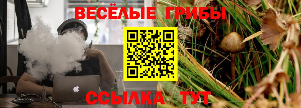 Псилоцибиновые грибы Psilocybe  Вход с VPN  закладка  Омск 